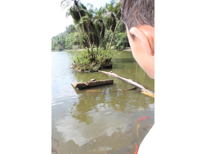 image01